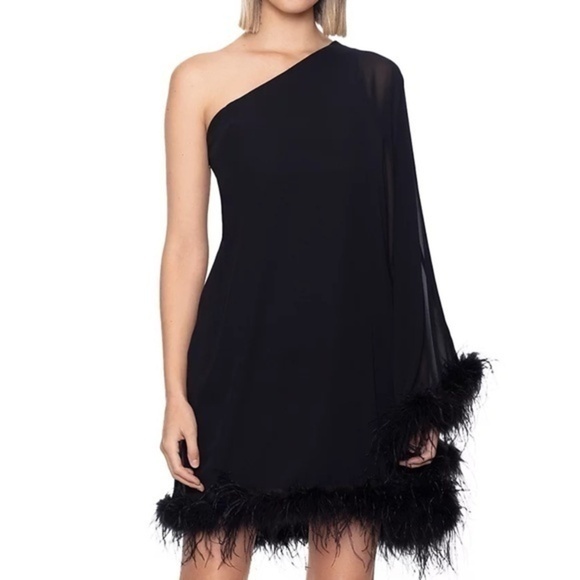 Betsy and Adam. Feather Trim Single Long Sleeve Cocktail Dress. - Picture 1 of 10